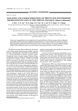 ISOLATION AND CHARACTERIZATION OF TWENTY-ONE POLYMORPHIC MICROSATELLITE LOCI IN THE TIBETAN MACAQUE (MACACA THIBETANA) -  тема научной статьи по биологии из журнала Генетика