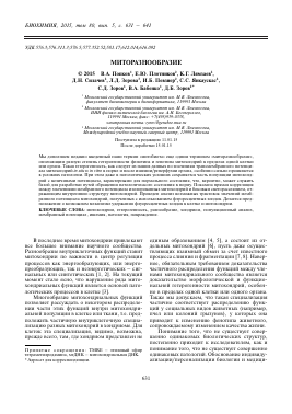 МИТОРАЗНООБРАЗИЕ -  тема научной статьи по химии из журнала Биохимия