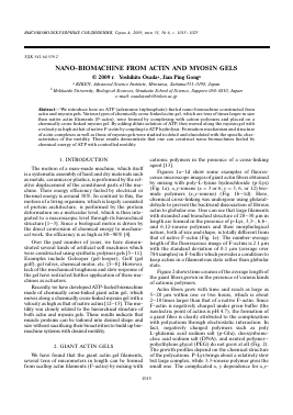 NANO-BIOMACHINE FROM ACTIN AND MYOSIN GELS -  тема научной статьи по физике из журнала Высокомолекулярные соединения. Серия А
