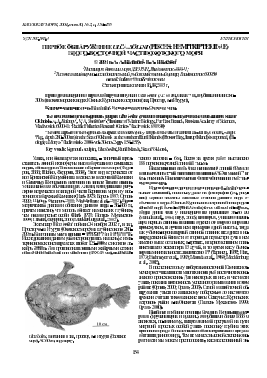 Первое обнаружение Ulca bolini (Pisces: Hemitripteridae) в юго-восточной части Охотского моря -  тема научной статьи по биологии из журнала Биология моря