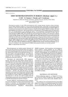 SIRE1 RETROTRANSPOSONS IN BARLEY (HORDEUM VULGARE L.) -  тема научной статьи по биологии из журнала Генетика