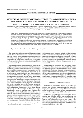 MOLECULAR IDENTIFICATION OF ASPERGILLUS AND EUROTIUM SPECIES ISOLATED FROM RICE AND THEIR TOXIN-PRODUCING ABILITY -  тема научной статьи по биологии из журнала Микробиология